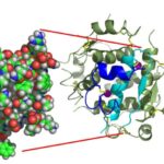 Biotechnology - wikidoc